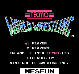 Tecmo World Wresting